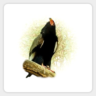 Bateleur Sticker